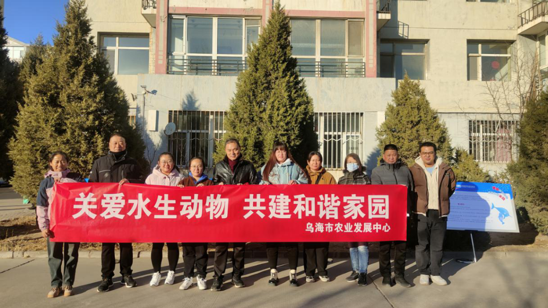 图片1