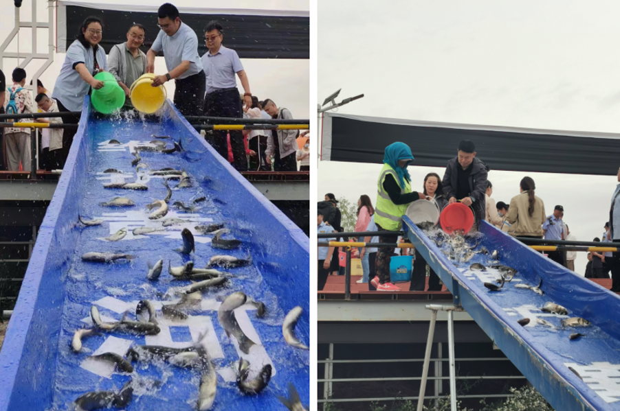 截图-2024年6月7日 9时16分30秒