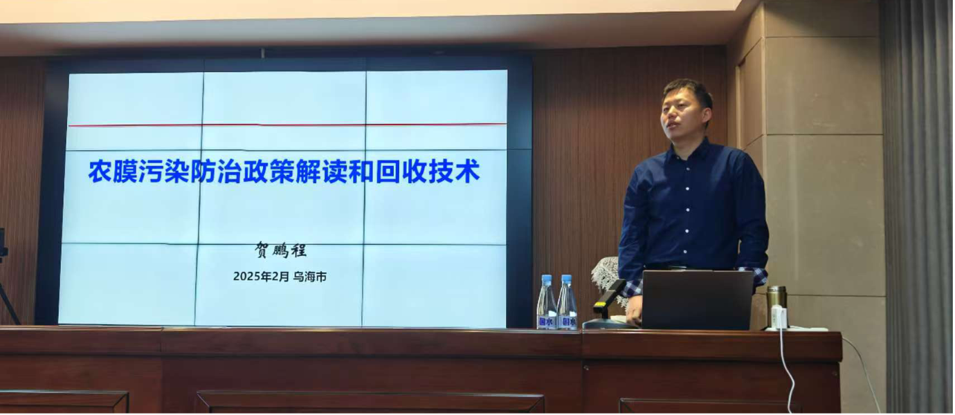 图片5