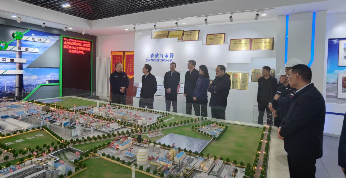 图片6