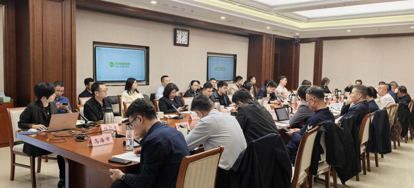 图片13