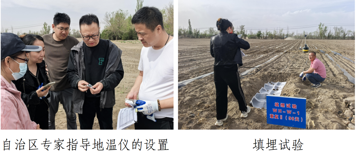 截图-2025年5月12日 16时33分29秒