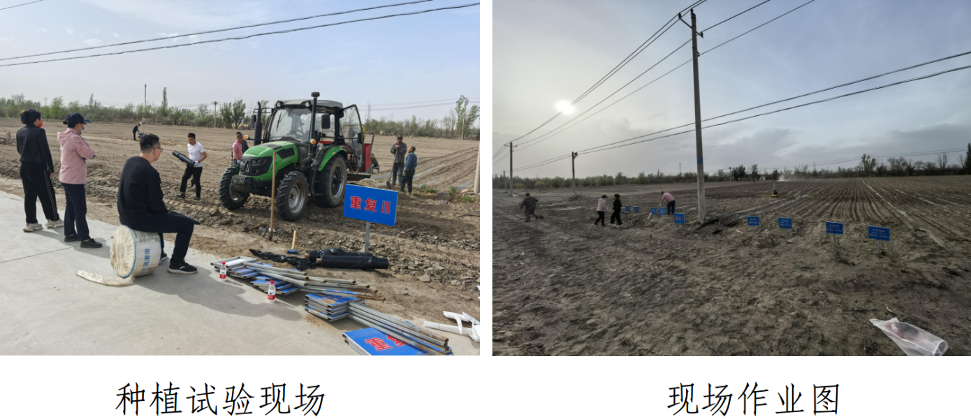 截图-2025年5月12日 16时34分17秒
