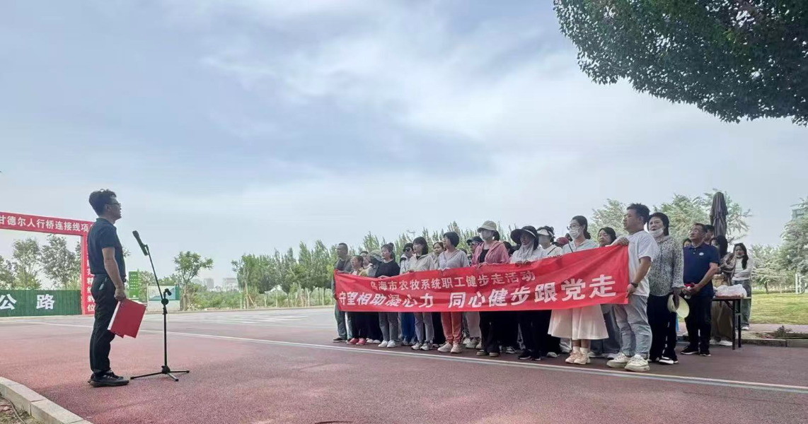 图片13 图片13
