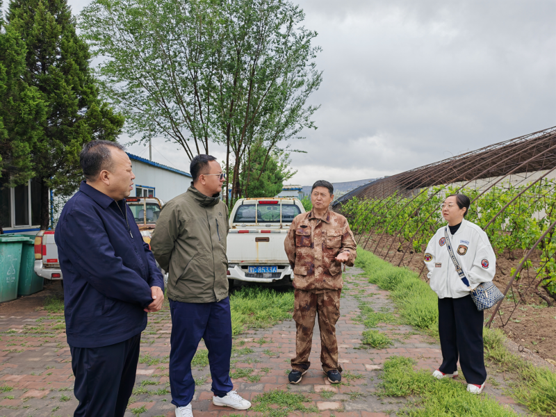 图片30