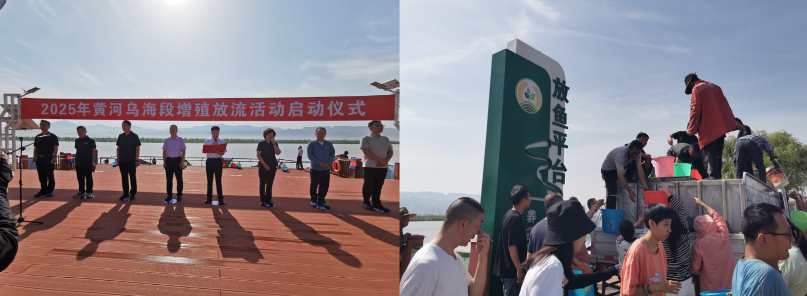 截图-2025年6月17日 9时36分19秒