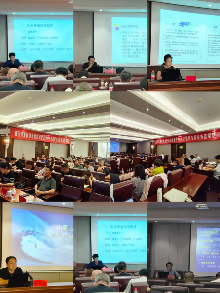 图片33