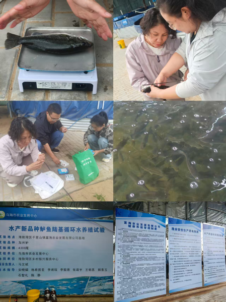 图片35
