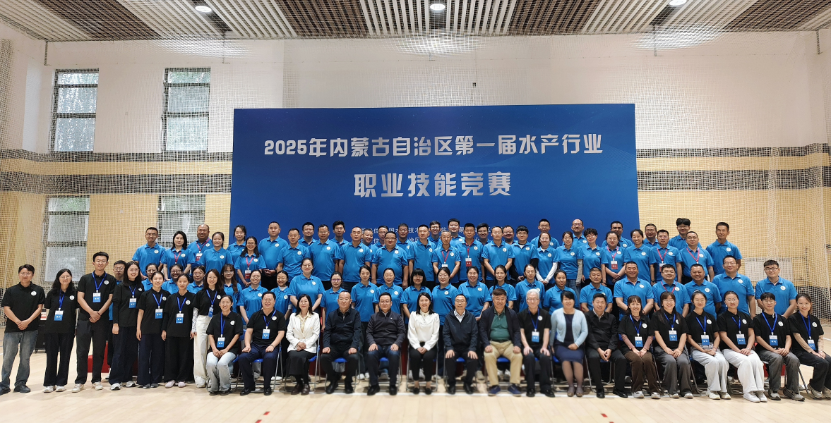 图片12