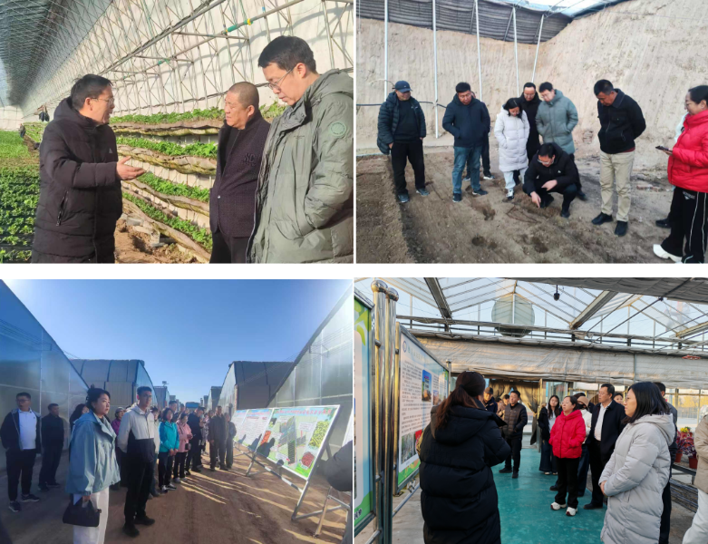 截图-2025年11月27日 15时15分49秒