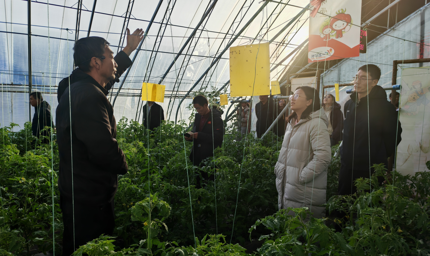 截图-2025年11月27日 15时19分5秒