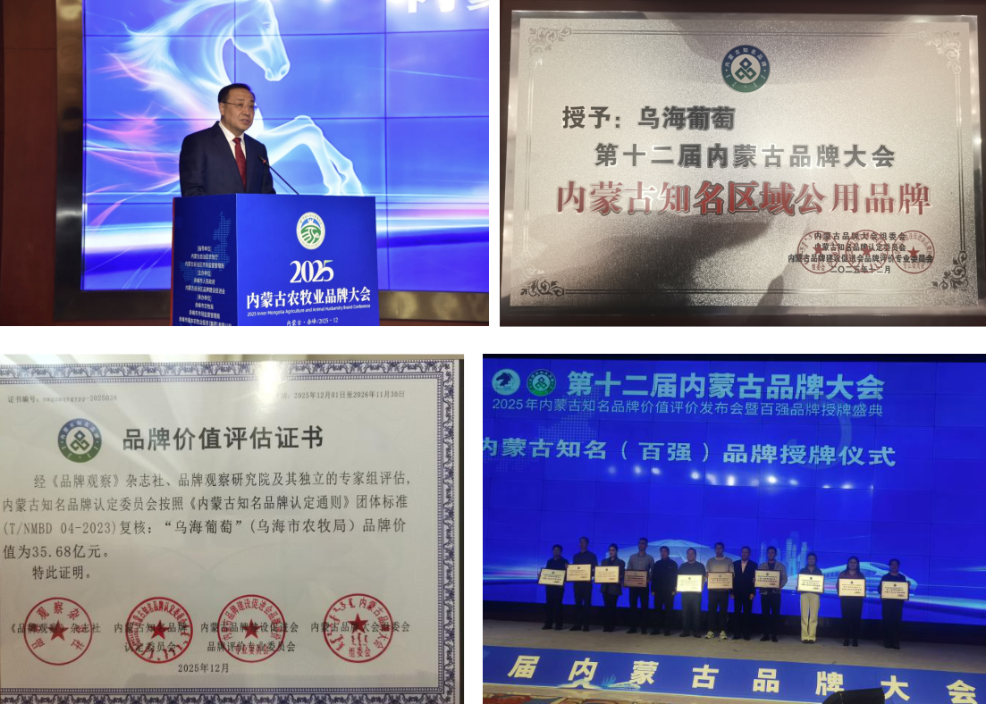 截图-2025年12月10日 15时40分33秒