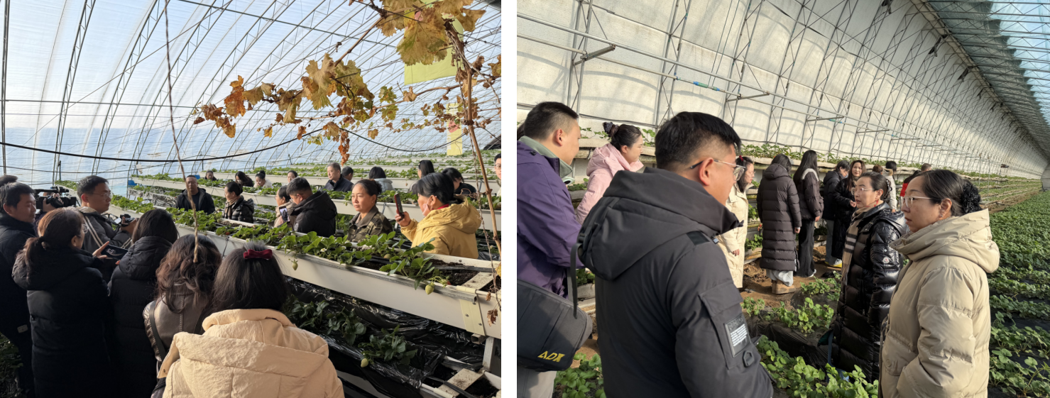 截图-2025年12月29日 16时0分41秒