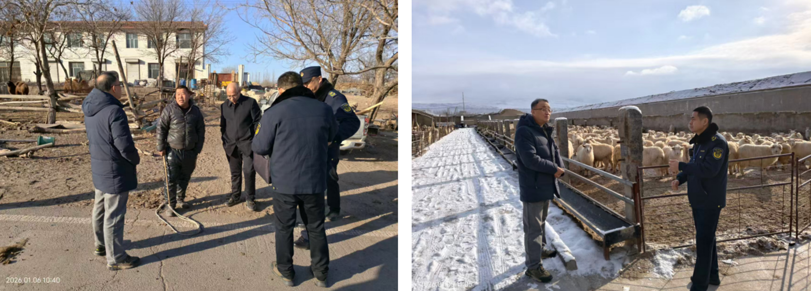 截图-2026年1月12日 11时22分48秒