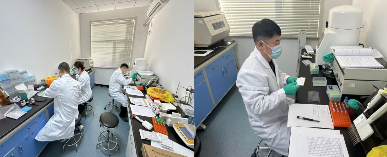 截图-2026年1月16日 16时15分34秒