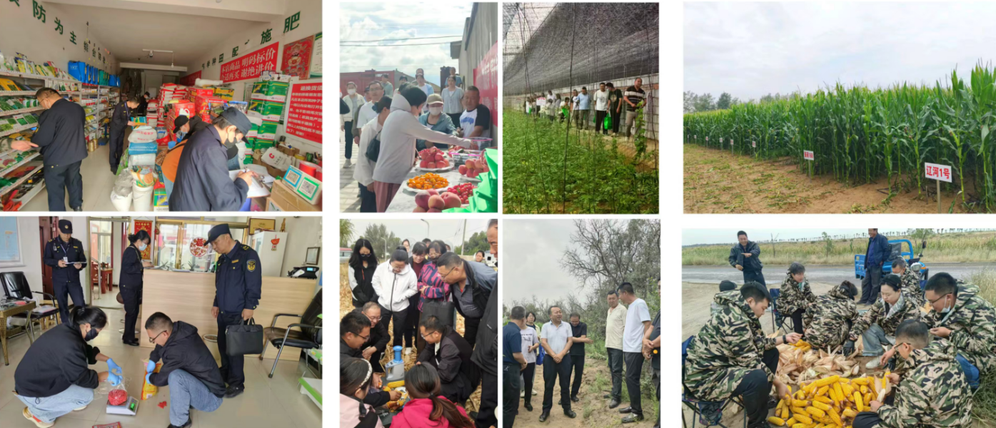 截图-2026年1月19日 17时29分18秒