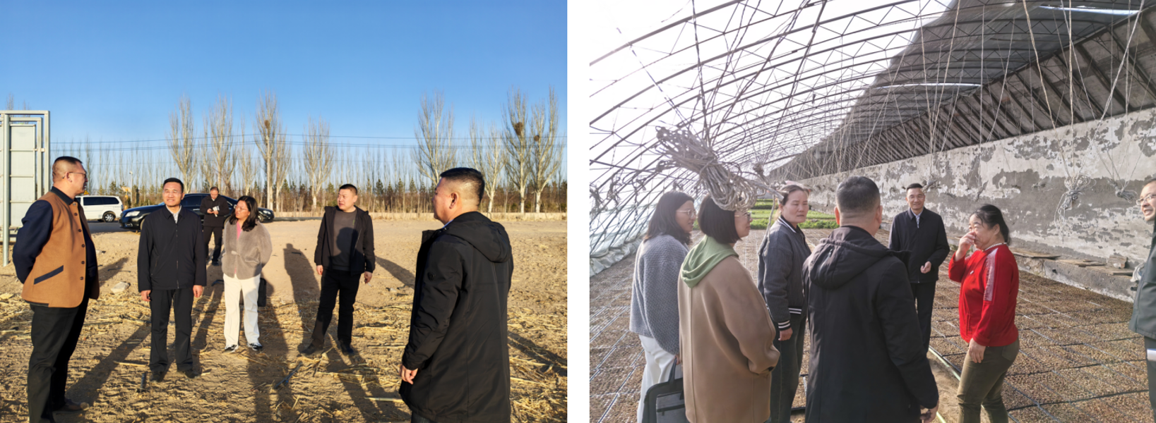 截图-2026年3月10日 16时9分53秒