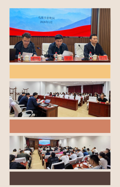 图片20