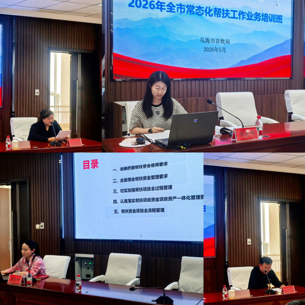 图片21