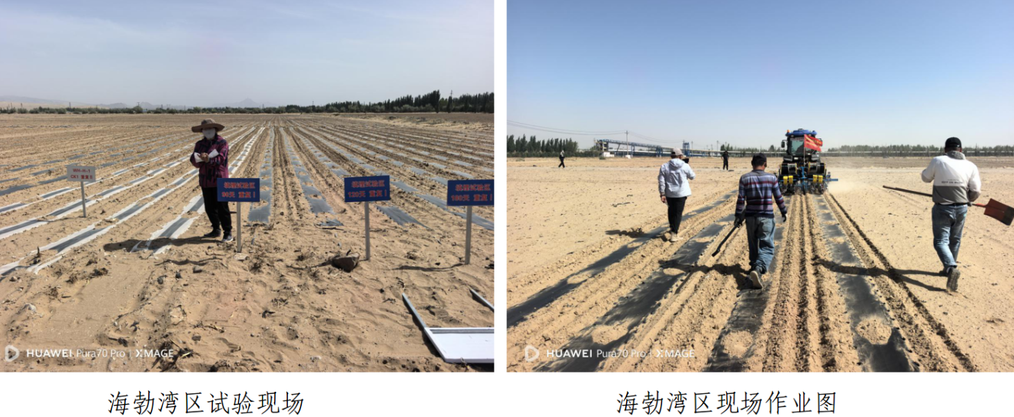 截图-2026年5月14日 16时19分2秒