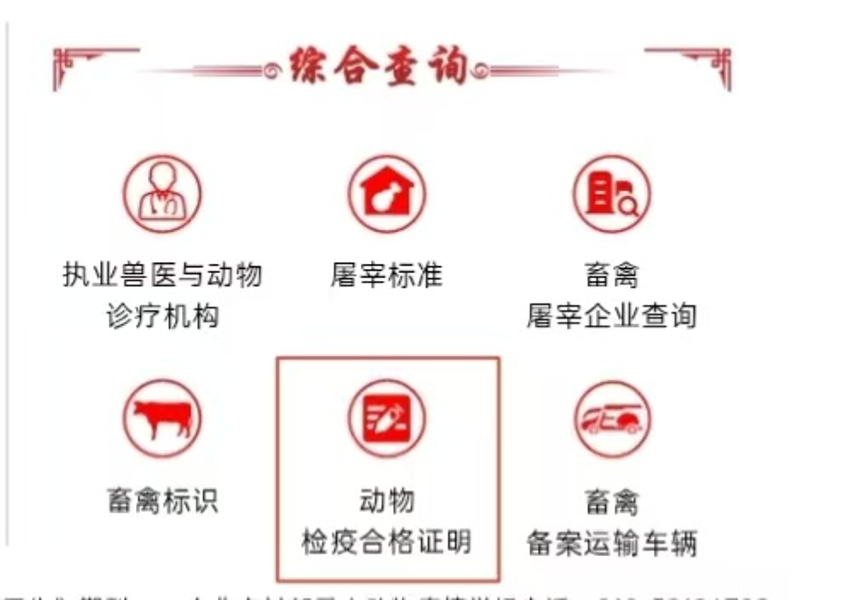 图片3