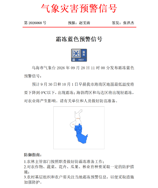 图片5 图片5
