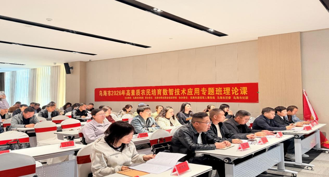 图片5