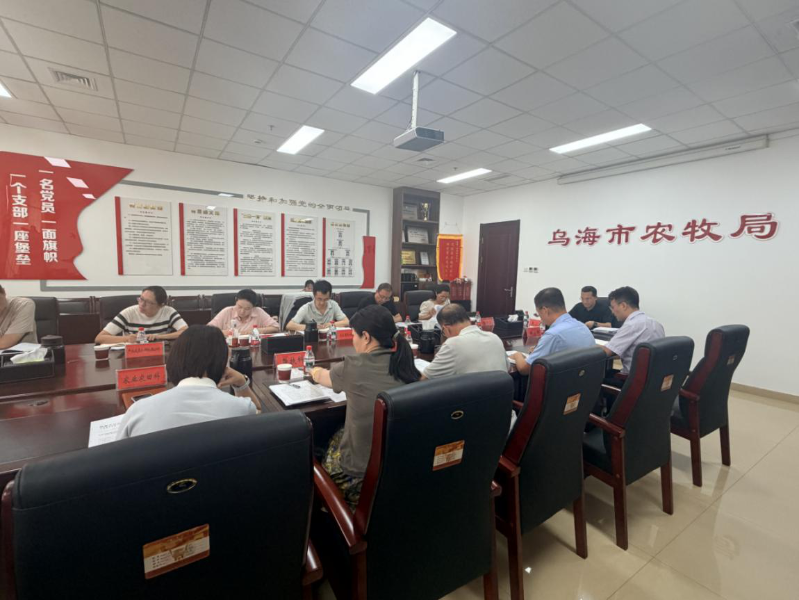 图片5