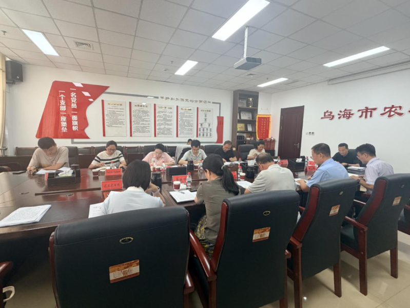 图片6